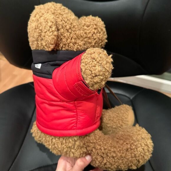 NWT The North Face Teddy Bear 30th Anniversary Red Nupste Jacket Very Rare - Picture 10 of 10